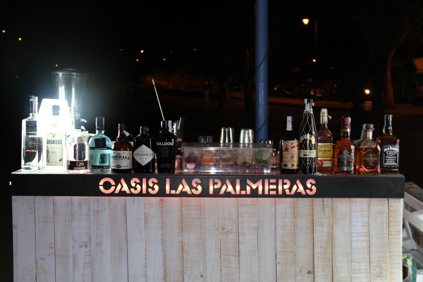 Actuación DJ, Vocal y Violín en Oasis de Las Palmeras