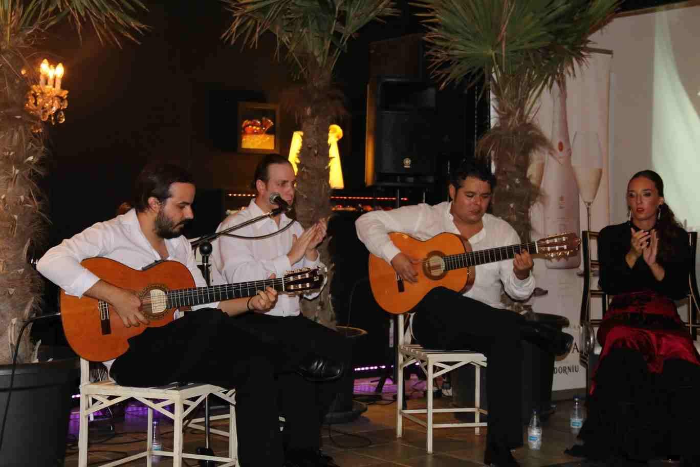 Actuación Flamenca en Oasis de Las Palmeras