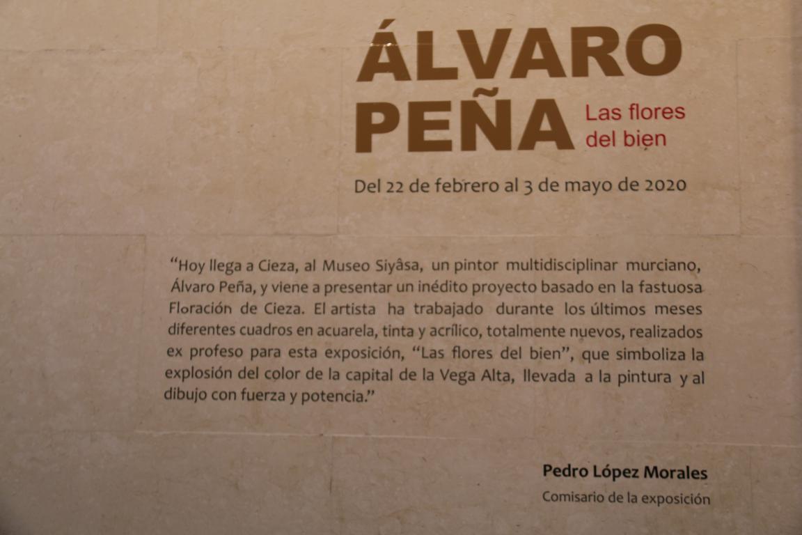 Exposición Álvaro Peña Museo Siyâsa 2020