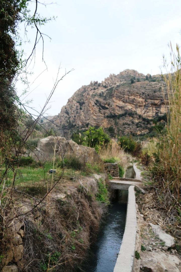 Ruta Senderista por Orilla Río Segura en Ojós - Murcia