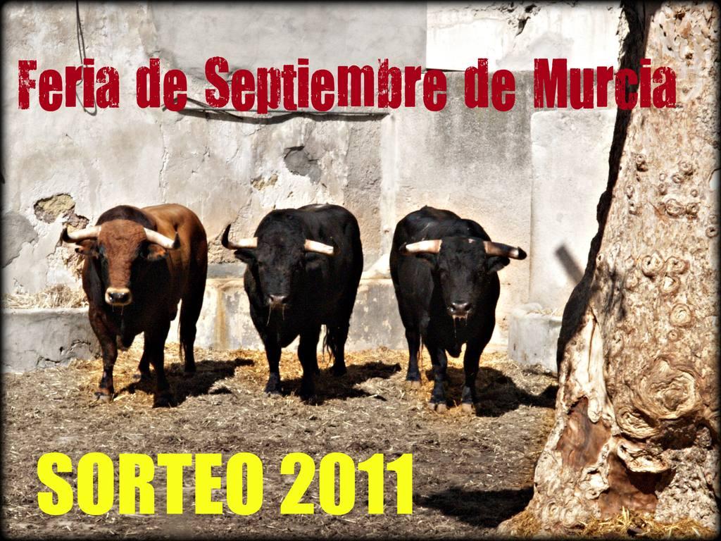 Sorteo Taurino Feria Septiembre Murcia 2012