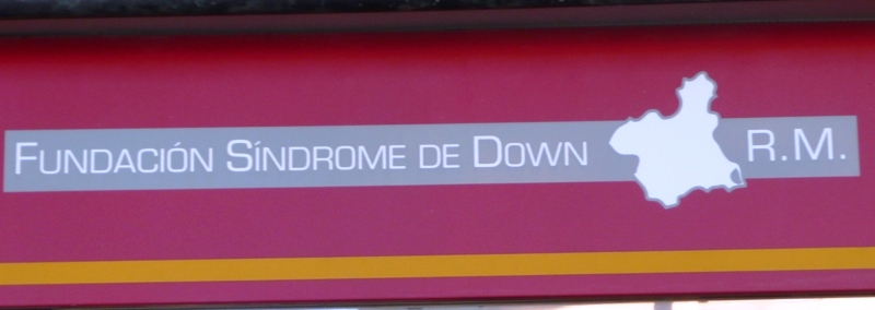 Fundación Síndrome De Down De La Región De Murcia