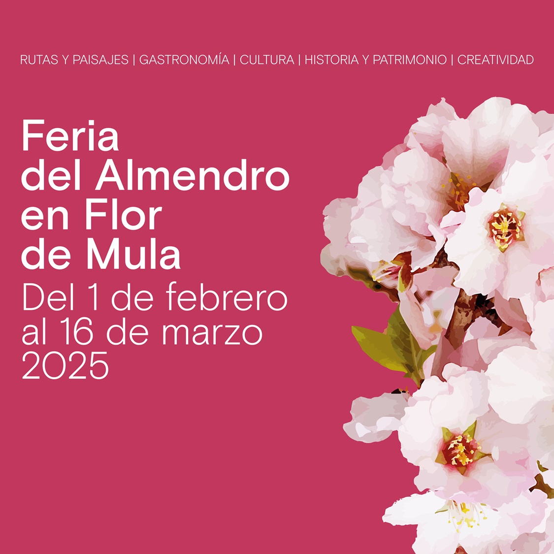 Mula Flor