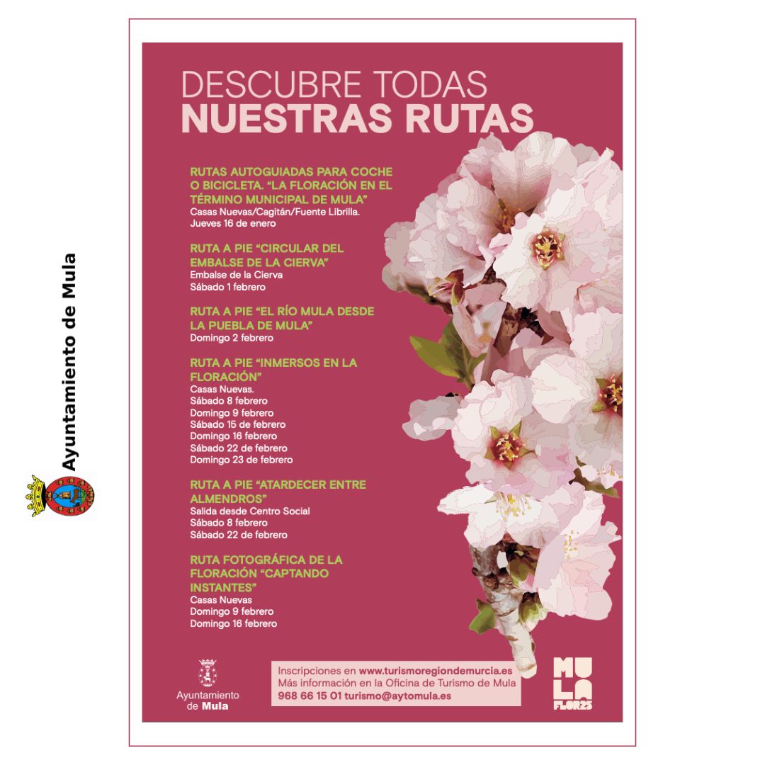 rutas-mula-flor.jpg