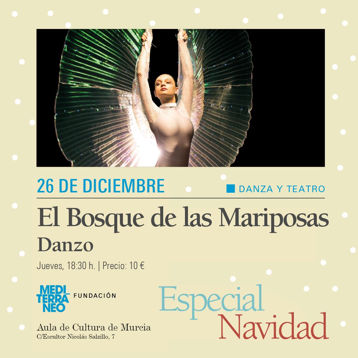 fundacion-mediteraneo-navidad-4.jpg