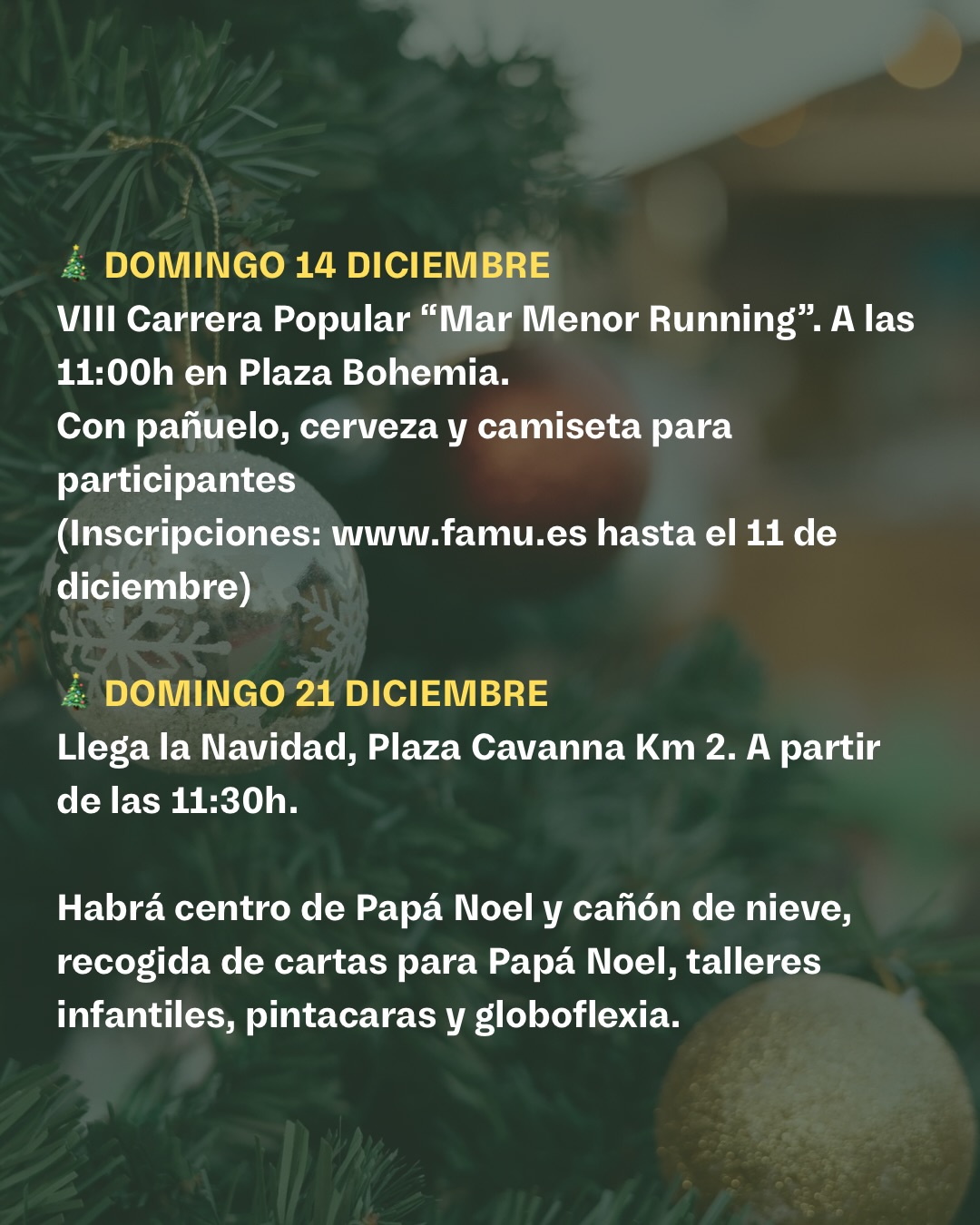 programcin-navidad-la-managa-del-mar-menor-1.jpg