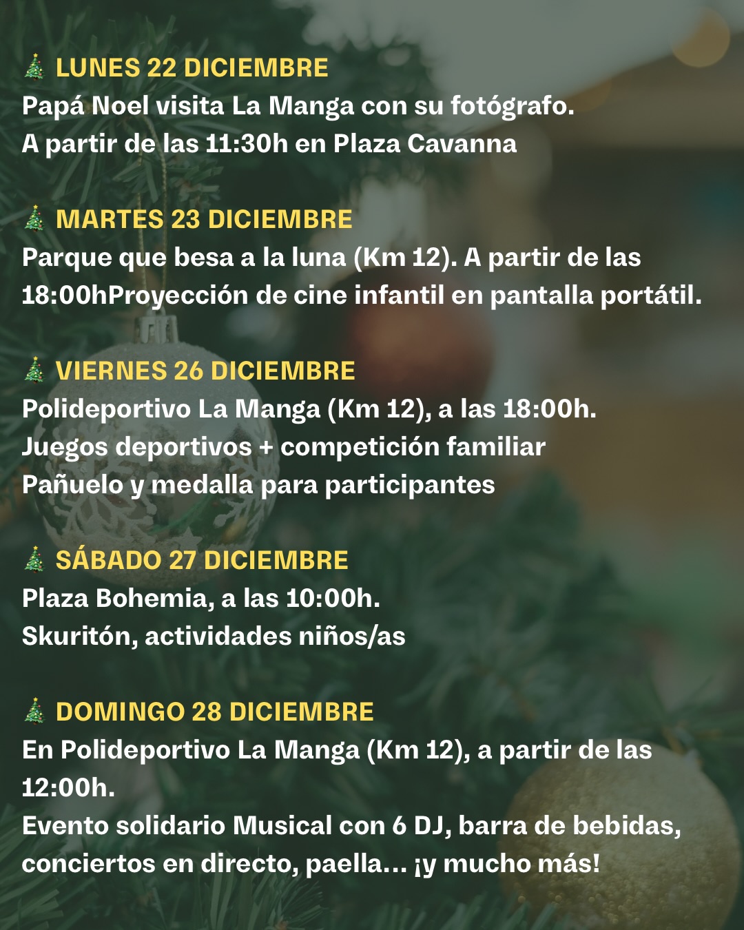 programcin-navidad-la-managa-del-mar-menor-2.jpg