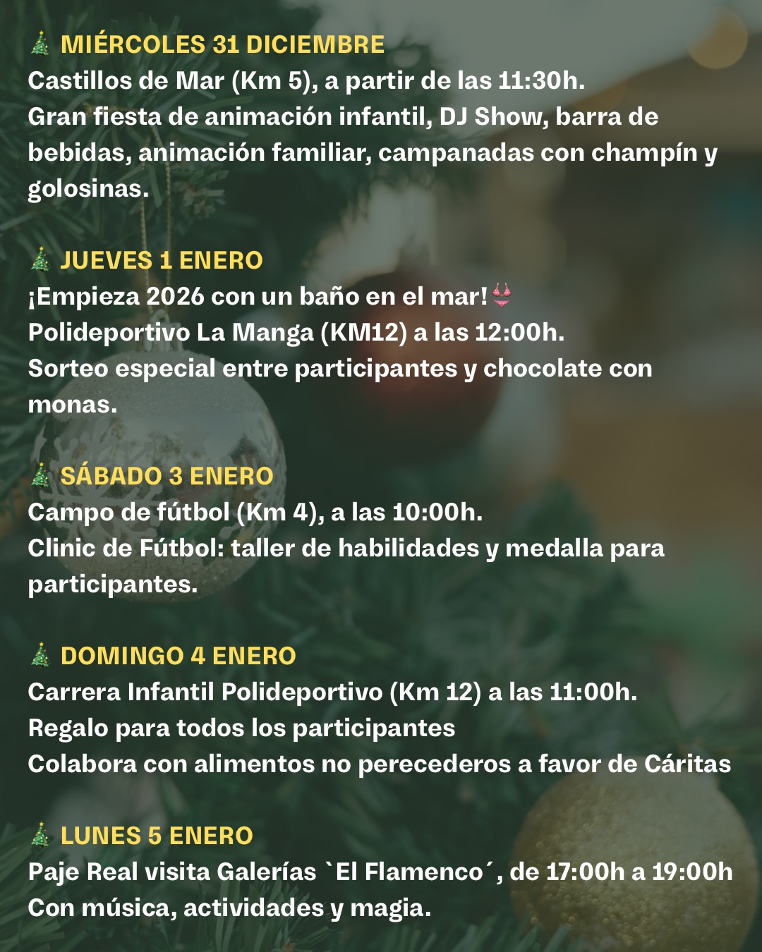 programcin-navidad-la-managa-del-mar-menor-3.jpg