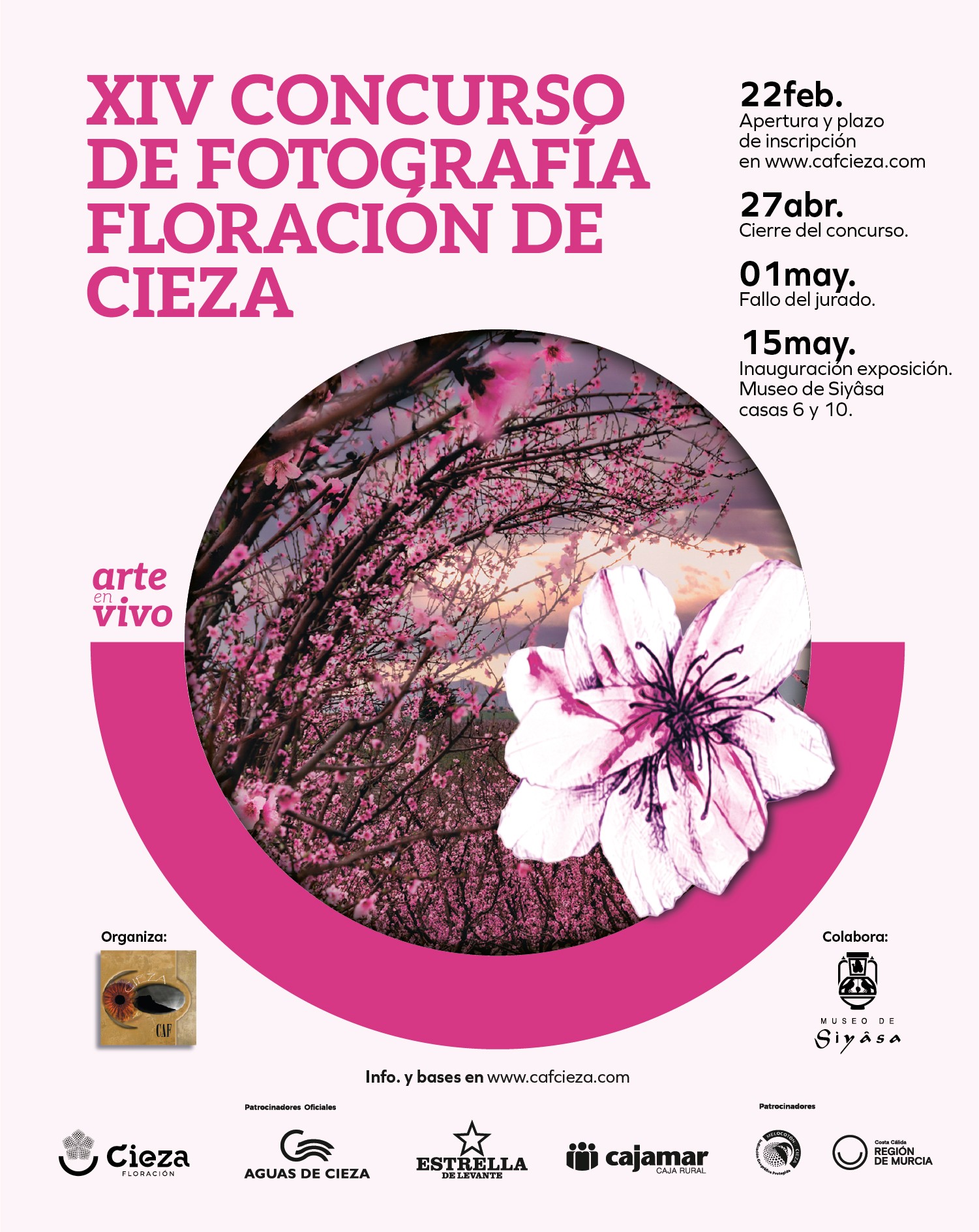 floracionn-cieza-programacion-3.jpg