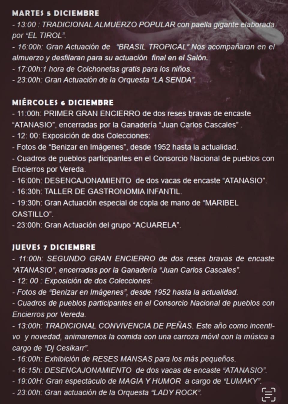 programa-fiestas-benizar-3.jpg