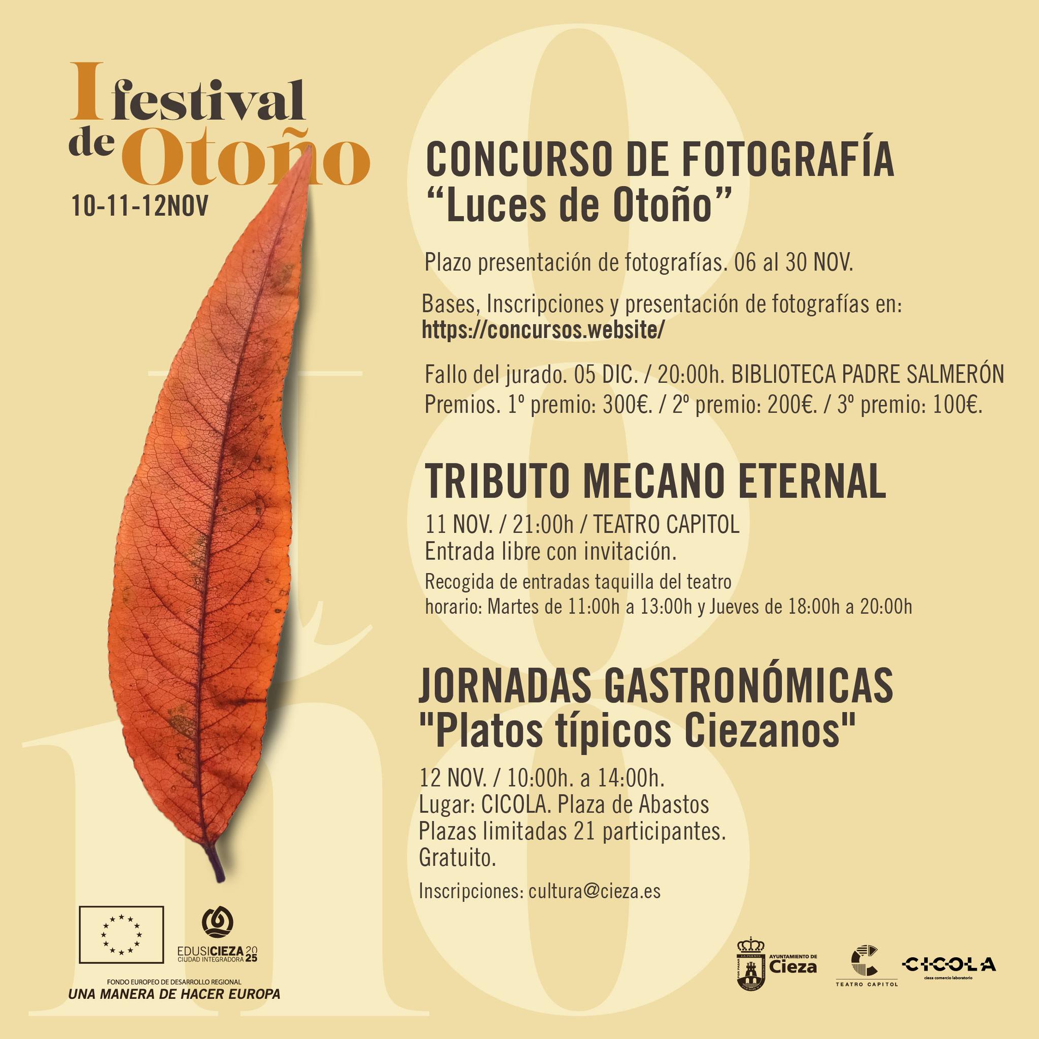 festival-otoo-cieza.jpg