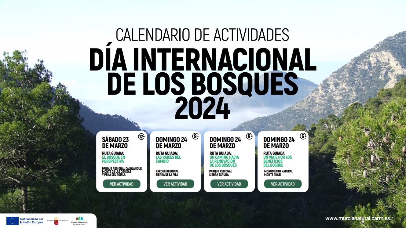 Día Internacional De Los Bosques 2024 - La Guía W - La Guía Definitiva ...