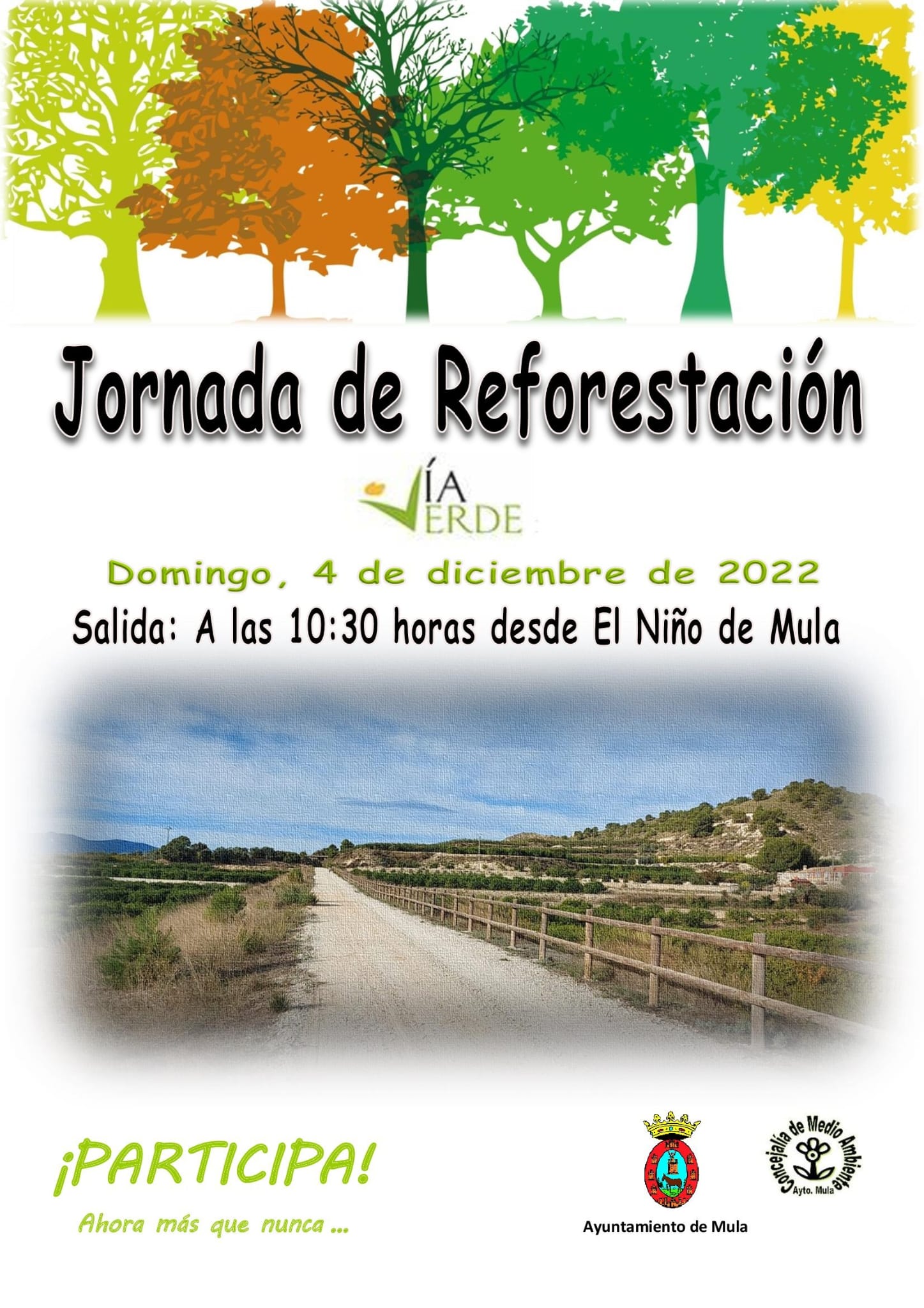 reforestacion-mula