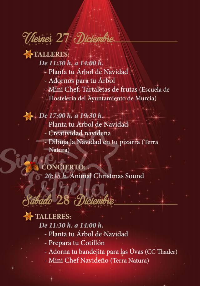 programacion-ARBOL-navidad-murcia-2019_10.jpg