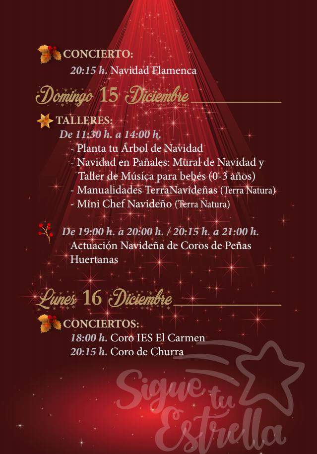 programacion-ARBOL-navidad-murcia-2019_4.jpg