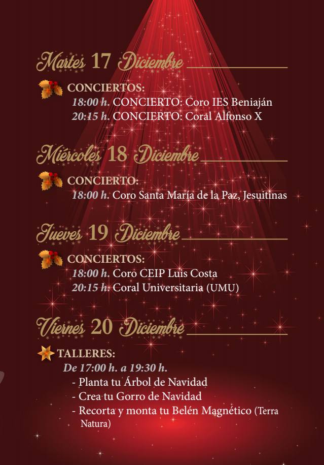 programacion-ARBOL-navidad-murcia-2019_5.jpg