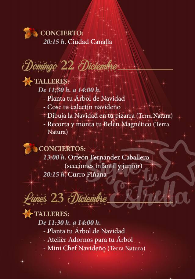 programacion-ARBOL-navidad-murcia-2019_7.jpg