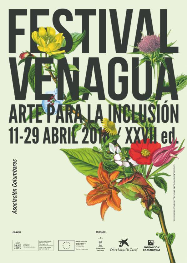 Festival-venagua-arte-para-la-inclusion.jpg
