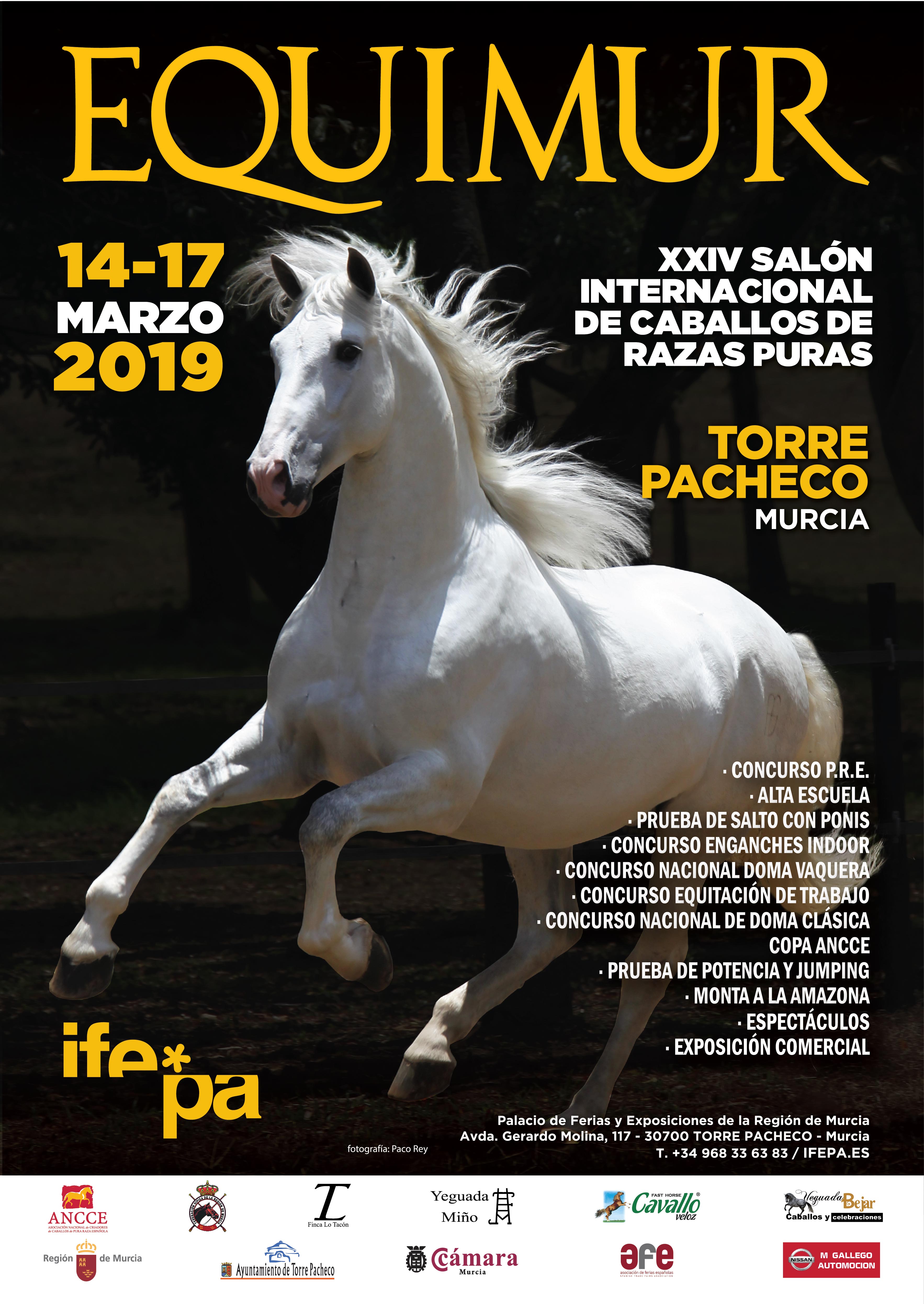 equimur2019.jpg